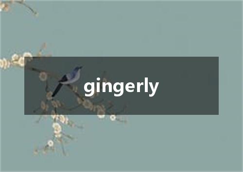 gingerly是什么意思