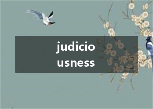 judiciousness是什么意思