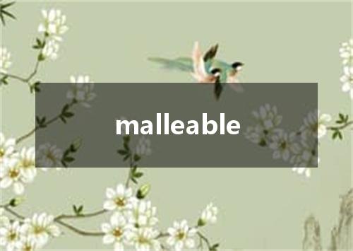 malleable是什么意思