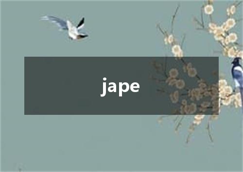 jape是什么意思