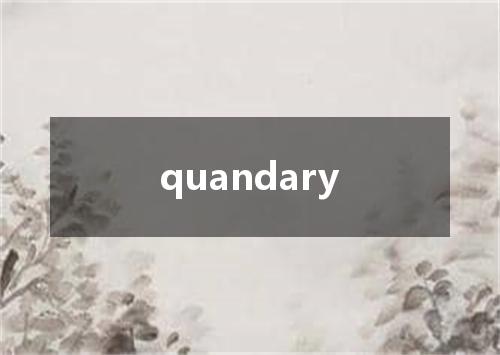 quandary是什么意思