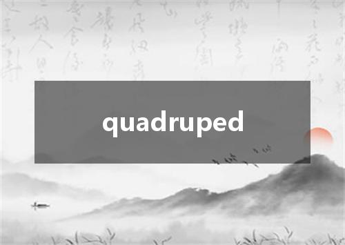 quadruped是什么意思