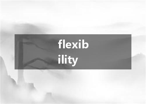 flexibility是什么意思