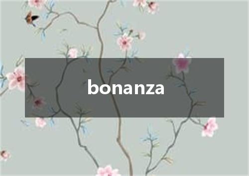 bonanza是什么意思