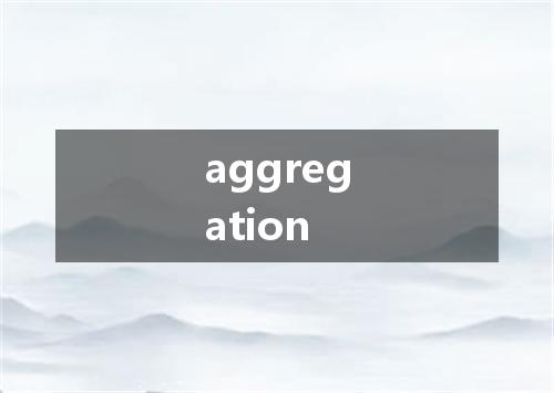 aggregation是什么意思