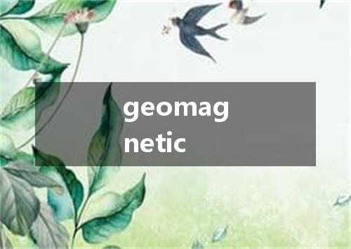 geomagnetic是什么意思