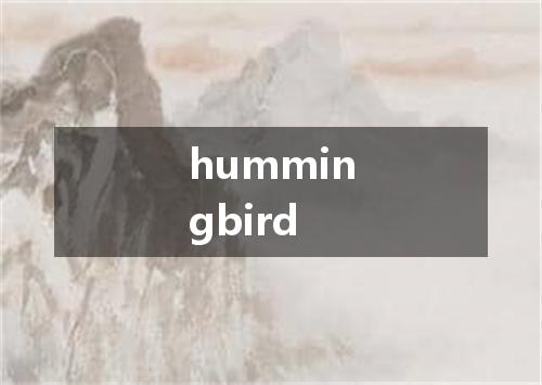 hummingbird是什么意思