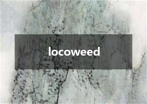 locoweed是什么意思