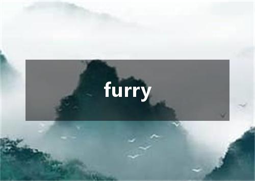 furry是什么意思