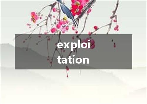 exploitation是什么意思