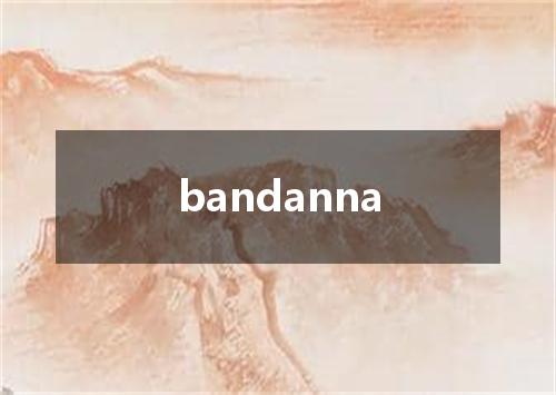 bandanna是什么意思