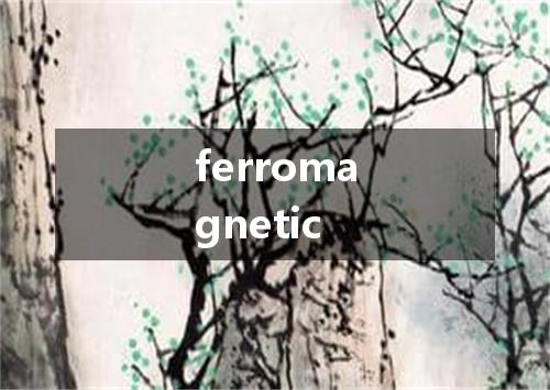 ferromagnetic是什么意思