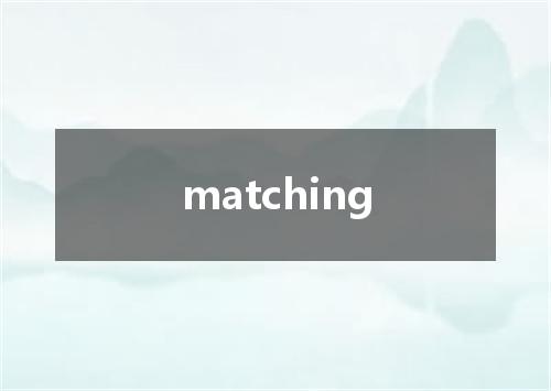 matching是什么意思