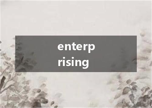 enterprising是什么意思