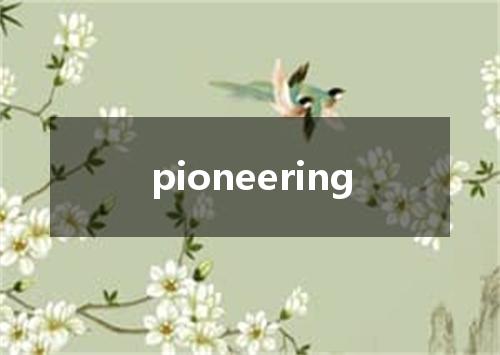 pioneering是什么意思