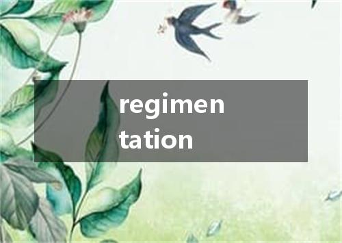 regimentation是什么意思