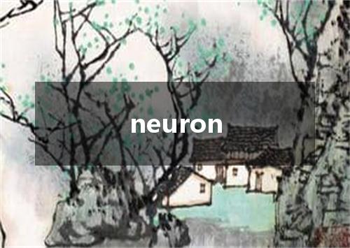 neuron是什么意思