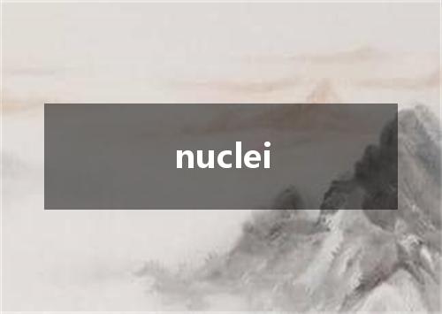 nuclei是什么意思