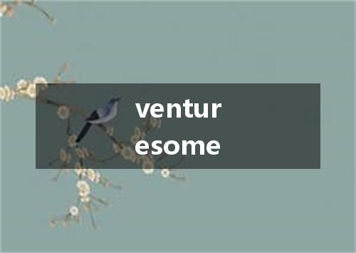venturesome是什么意思