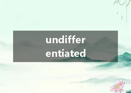 undifferentiated是什么意思