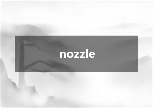 nozzle是什么意思