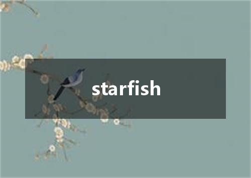 starfish是什么意思