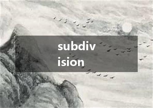 subdivision是什么意思