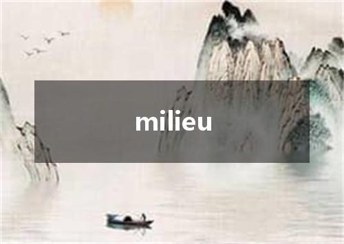 milieu是什么意思