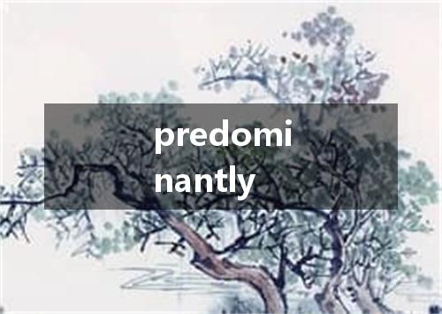 predominantly是什么意思