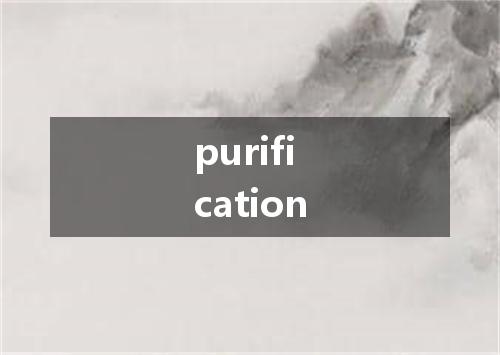 purification是什么意思