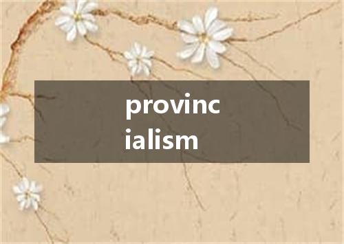 provincialism是什么意思