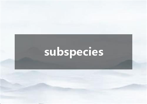 subspecies是什么意思