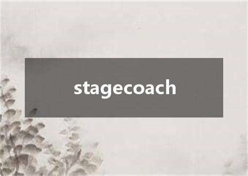 stagecoach是什么意思