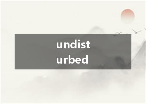 undisturbed是什么意思
