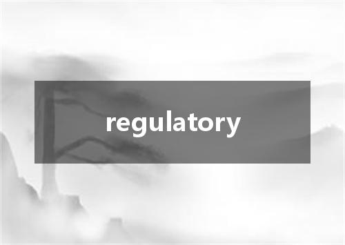 regulatory是什么意思