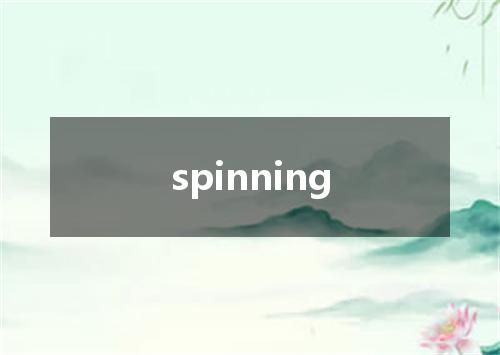 spinning是什么意思