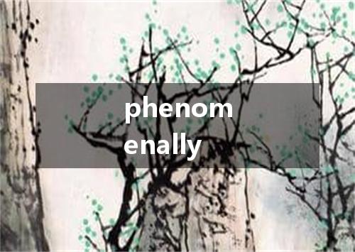 phenomenally是什么意思