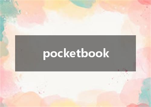 pocketbook是什么意思