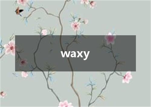 waxy是什么意思