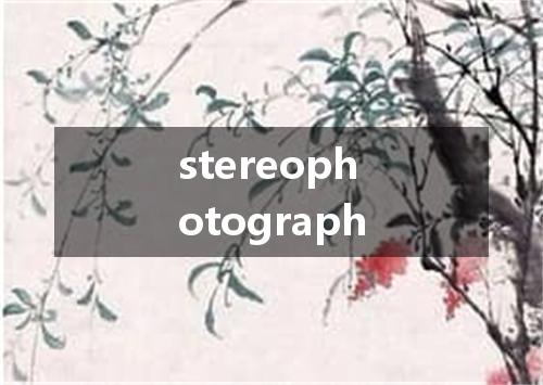 stereophotograph是什么意思