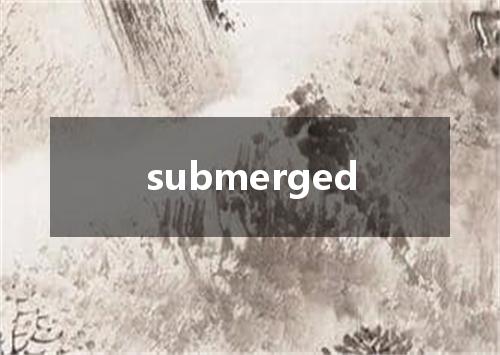 submerged是什么意思