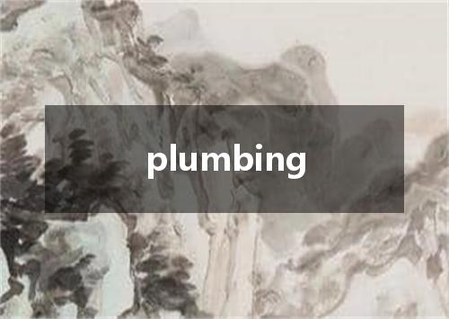 plumbing是什么意思