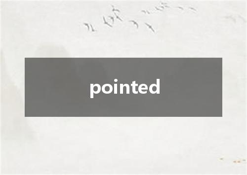 pointed是什么意思