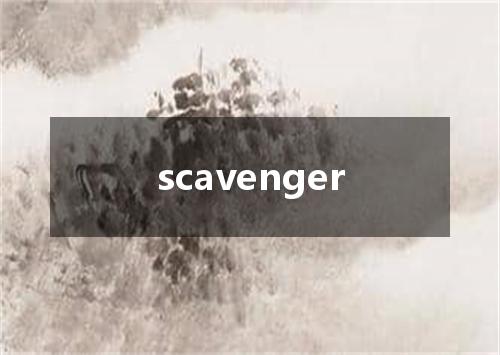 scavenger是什么意思
