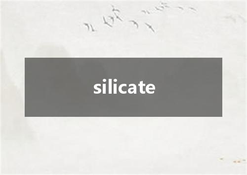 silicate是什么意思