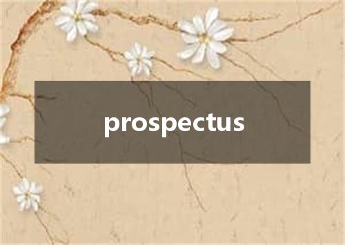 prospectus是什么意思