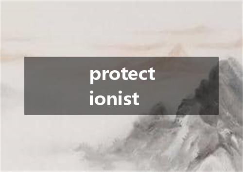 protectionist是什么意思