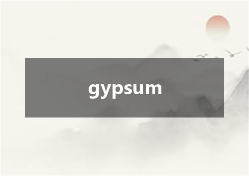 gypsum是什么意思