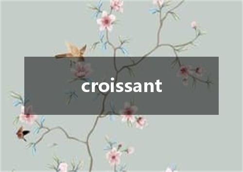 croissant是什么意思