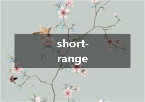 short-range是什么意思